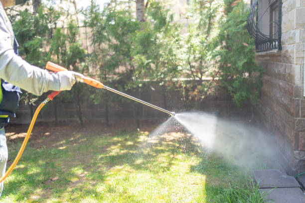 Emergency Pest Control Services in Fullerton, PA